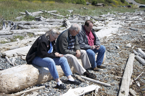 Examining rocks and shells