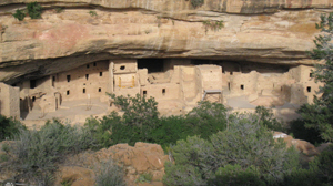 Spruce Tree House