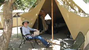 Blogging from the wilderness
