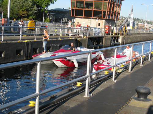 Several catamaran-style speed boats