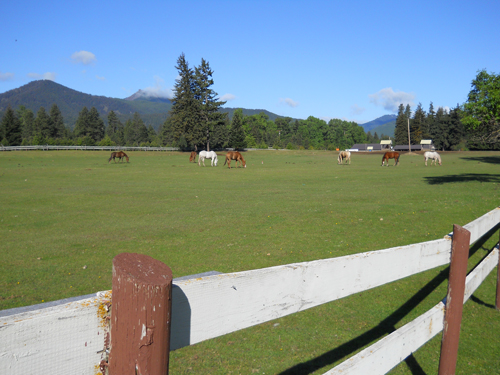 A lovely weekend at Ensign Ranch