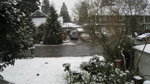 Snow in March?