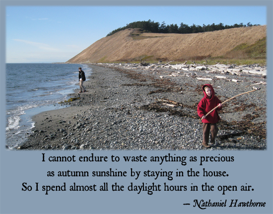I cannot endure to waste anything as precious as autumn sunshine by staying in the house.