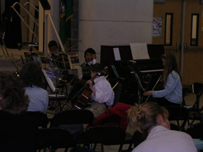 The string section