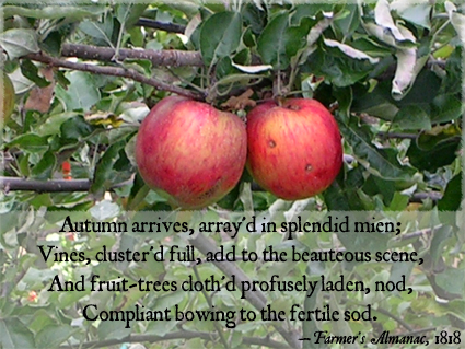 Autumn arrives - 1818 quotation