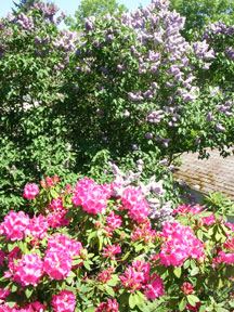 The view from our front window