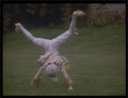 Cartwheeling pageboy from NA1