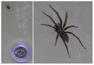 Don't worry, this is the guest bathroom