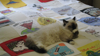Nanaimo helps with quilt layout
