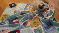 Nanaimo and the finished quilt top