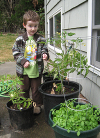 Thing Two looks over his garden