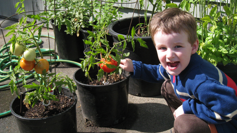 Look at my garden!