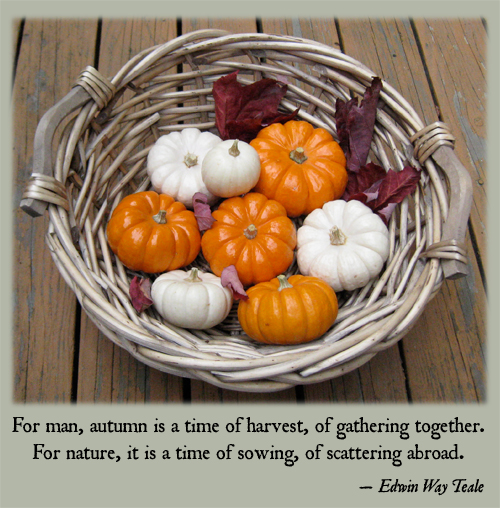 Autumn is a time of harvest