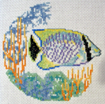 Butterfly fish Butterfly fish