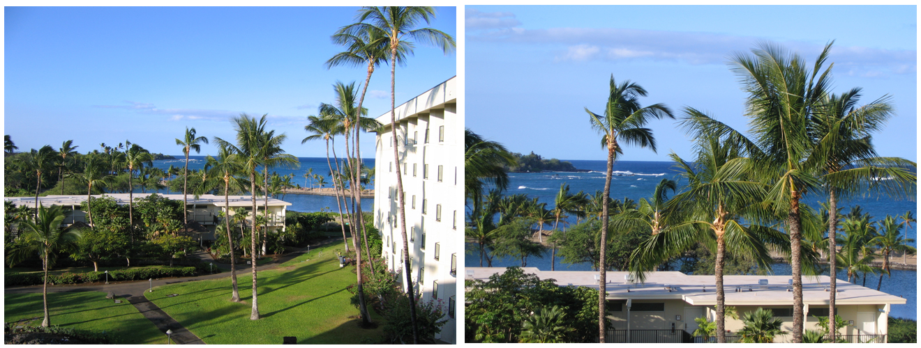 Rooms with a view