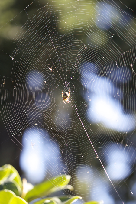 Collecting cobwebs? Collecting cobwebs?