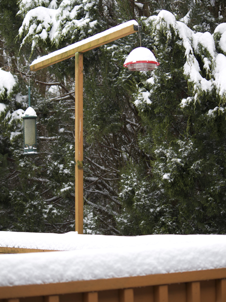 Snowy day