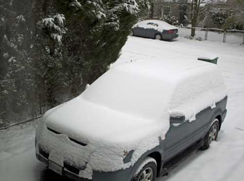 Snowy day