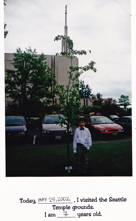 450px-2002templetree